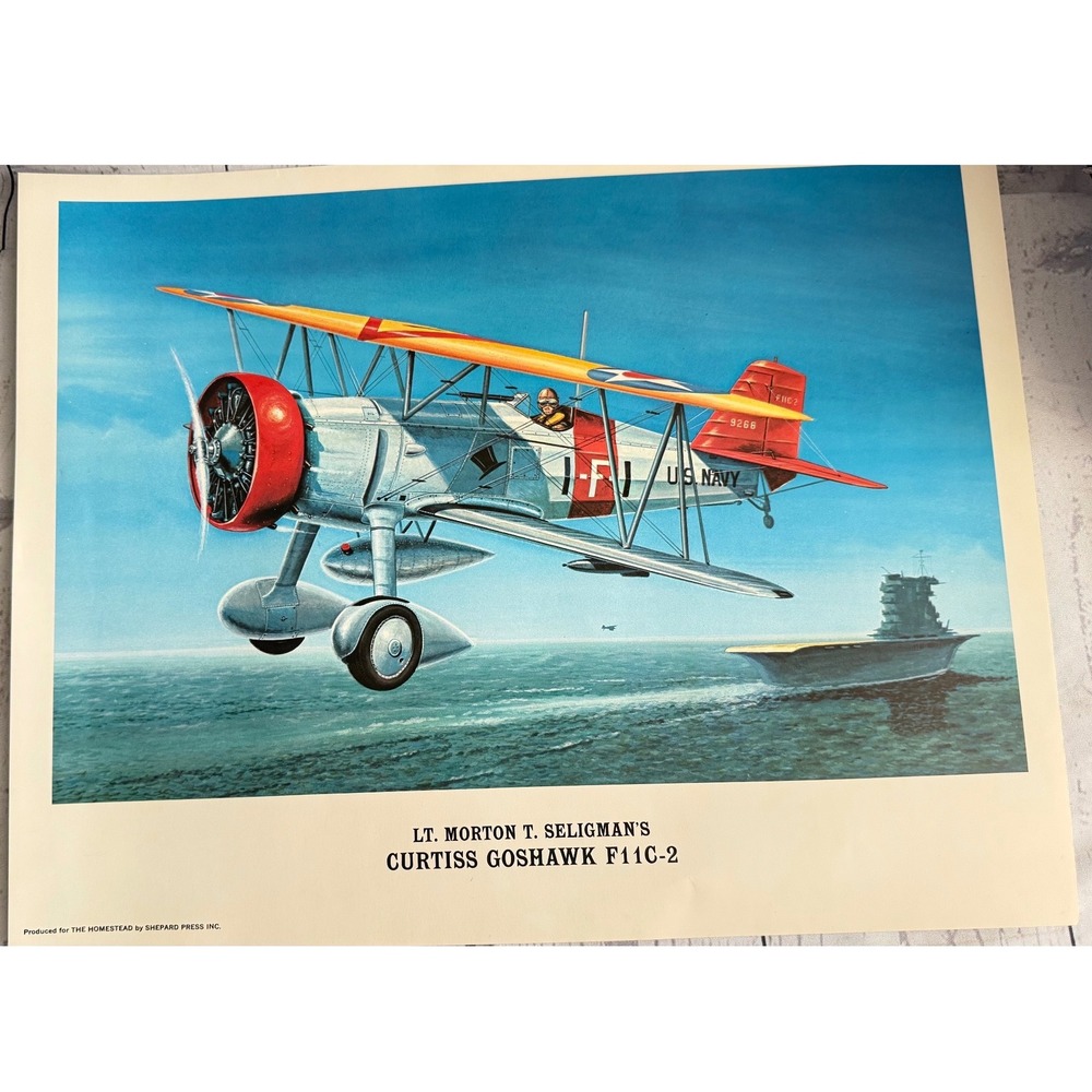 Vintage Curtiss Goshawk F11C-2 U.S. Navy Biplane Aviation Lithograph Art Print